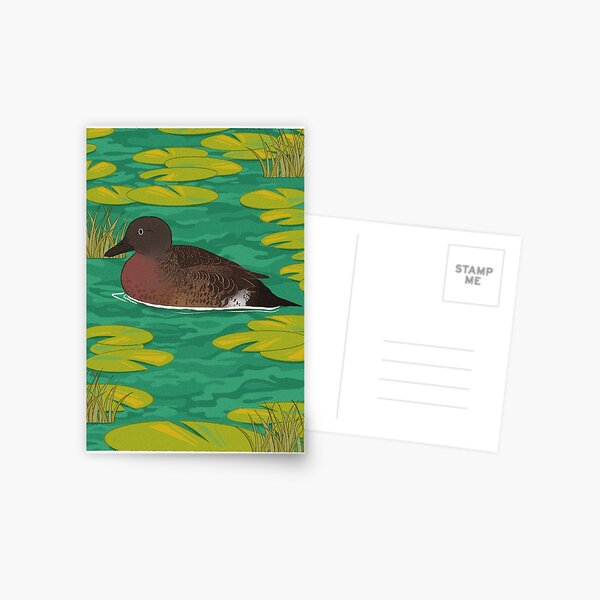 Brown teal Postcard