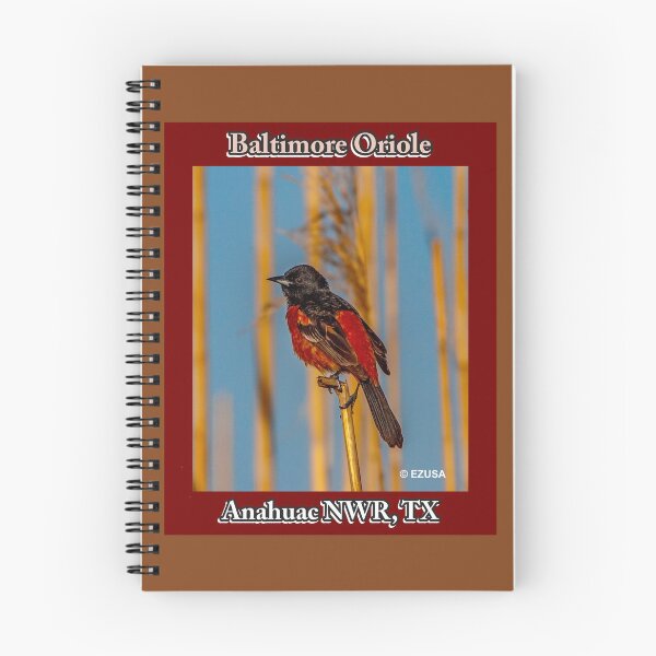 Item preview, Give Someone You Love The Bird: Baltimore Oriole At Anahuac NWR Sings His Early Morning Song. designed and sold by MoreEZUSA-Here.