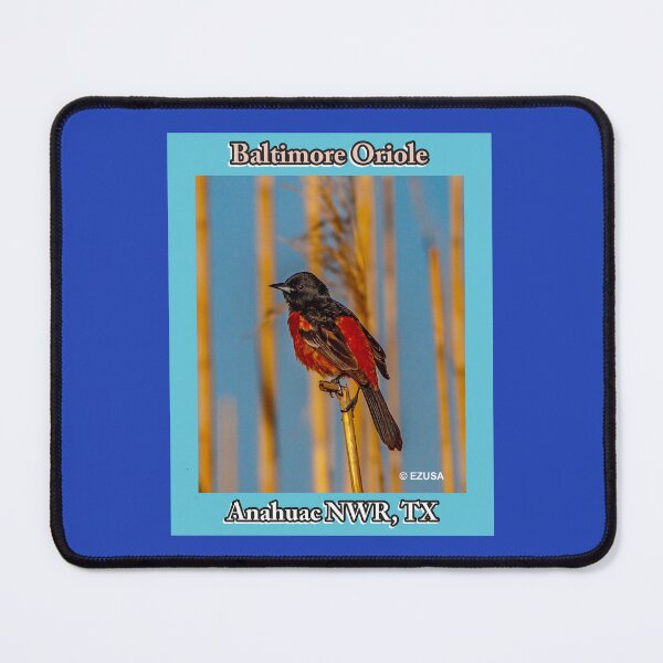 Item preview, The Perfect Gift For A Bird Lover: Baltimore Oriole At Anahuac NWR Sings His Early Morning Song. designed and sold by MoreEZUSA-Here.