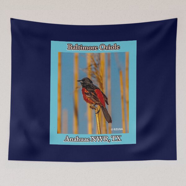 Item preview, The Perfect Gift For A Bird Lover: Baltimore Oriole At Anahuac NWR Sings His Early Morning Song. designed and sold by MoreEZUSA-Here.