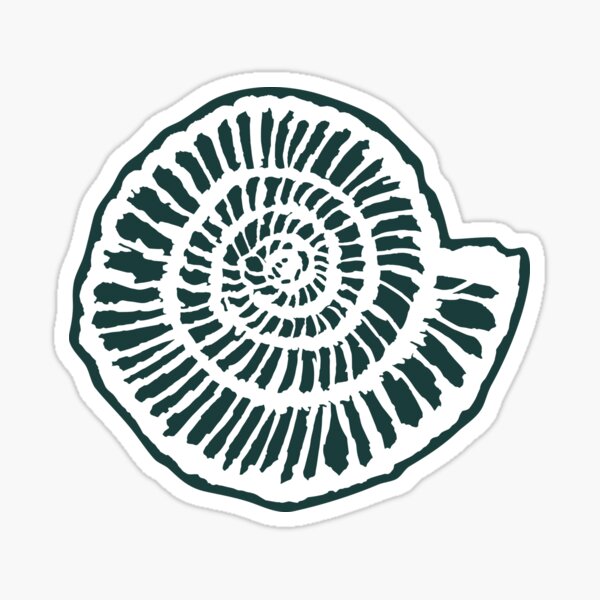 White Ammonite Sticker