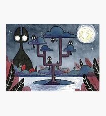 Night Photographic Print