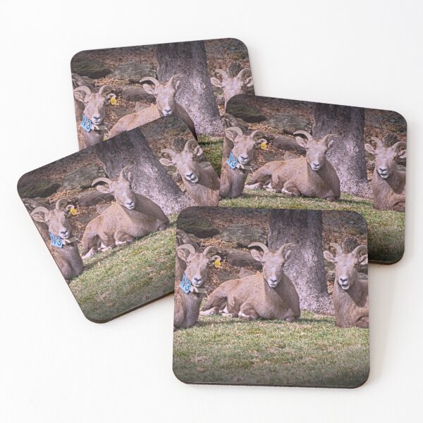 Item preview, Bighorn Sheep designed and sold by FifteenProjects.