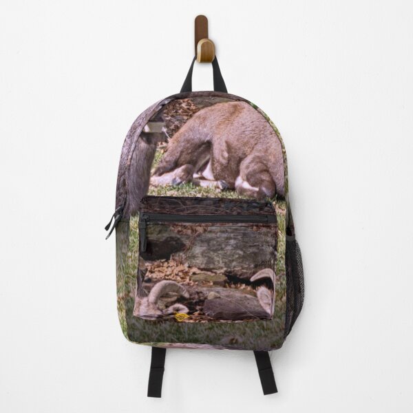Item preview, Bighorn Sheep designed and sold by FifteenProjects.