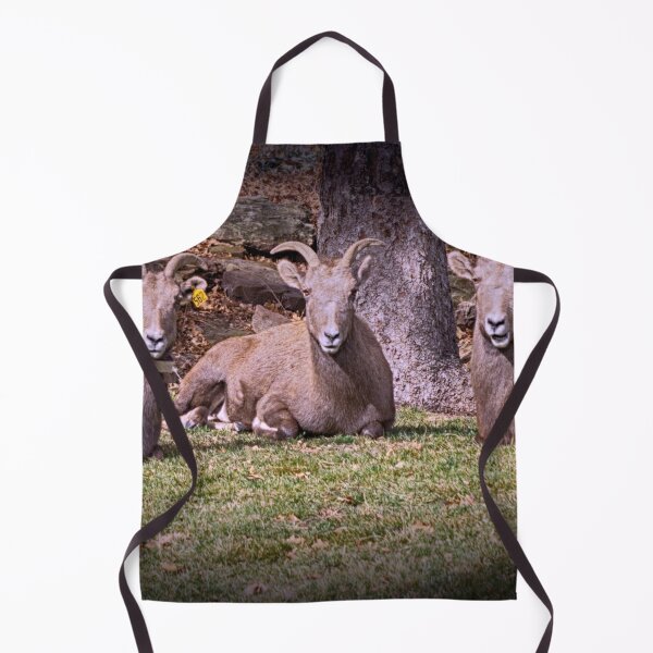 Item preview, Bighorn Sheep designed and sold by FifteenProjects.
