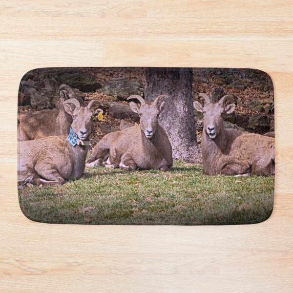 Item preview, Bighorn Sheep designed and sold by FifteenProjects.