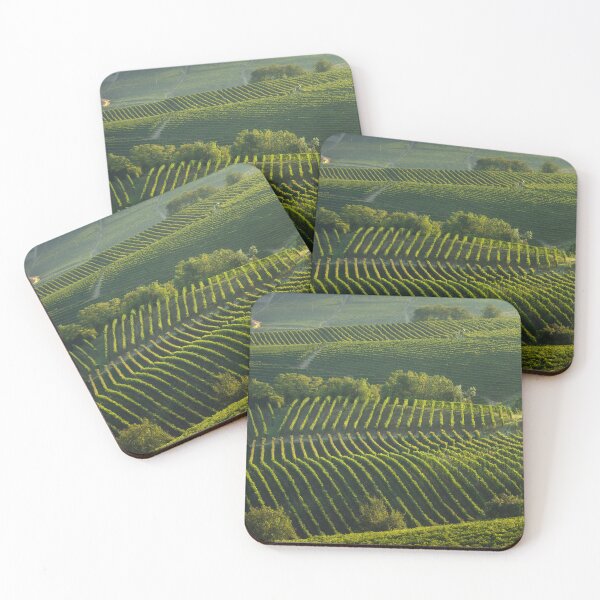 Item preview, Langhe, trees among the vineyards, Neive, Piedmont, Italy. designed and sold by Stefano Orazzini.