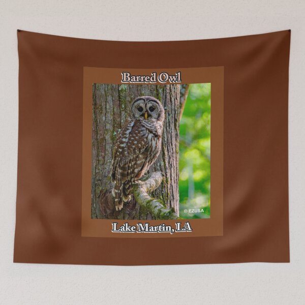 Item preview, Give Someone You Love The Bird: Barred Owl, Lake Martin, St. Martin Parish, Louisiana. designed and sold by MoreEZUSA-Here.