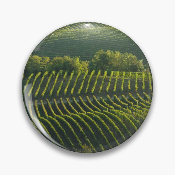 Item preview, Langhe, trees among the vineyards, Neive, Piedmont, Italy. designed and sold by Stefano Orazzini.