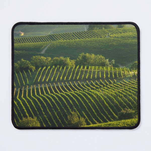 Item preview, Langhe, trees among the vineyards, Neive, Piedmont, Italy. designed and sold by Stefano Orazzini.