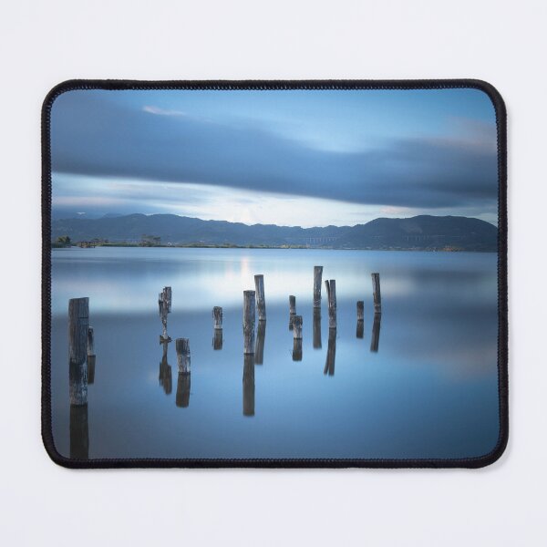 Item preview, Wooden pier remains. Lake Massaciuccoli. Tuscany designed and sold by Stefano Orazzini.