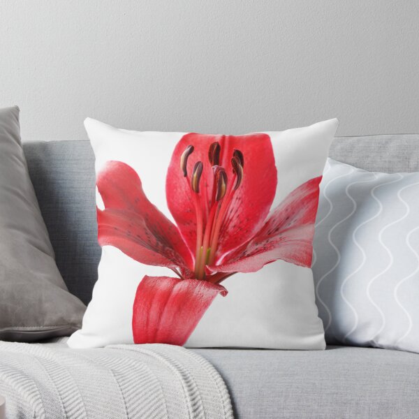 Item preview, Lilium  'Blackout'  Lily  Asiatic lily   designed and sold by Chris Burrows.