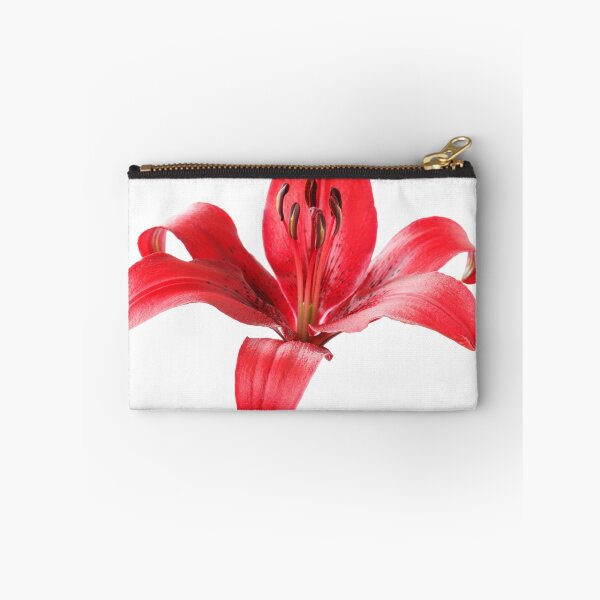 Item preview, Lilium  'Blackout'  Lily  Asiatic lily   designed and sold by Chris Burrows.
