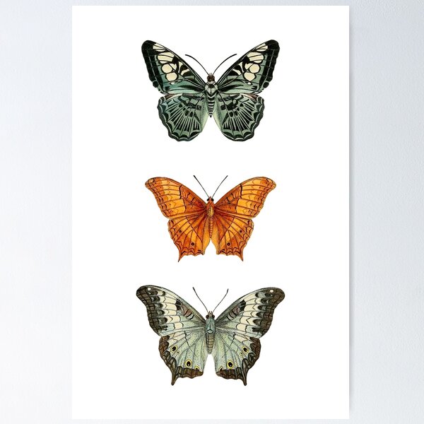 Item preview, Vintage Butterflies Illustration designed and sold by StrangeCritters.
