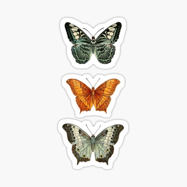 Item preview, Vintage Butterflies Illustration designed and sold by StrangeCritters.