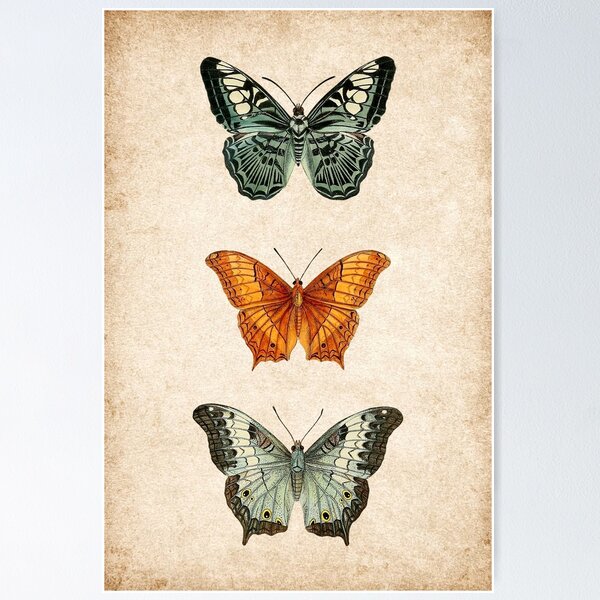 Item preview, Vintage Butterflies Illustration designed and sold by StrangeCritters.
