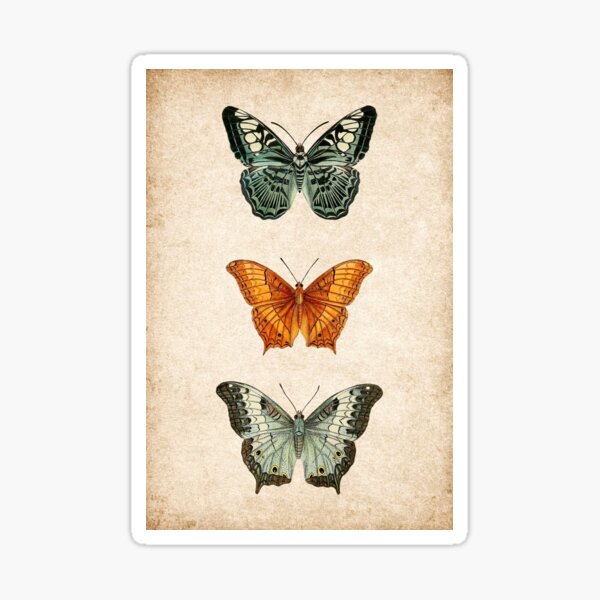 Item preview, Vintage Butterflies Illustration designed and sold by StrangeCritters.