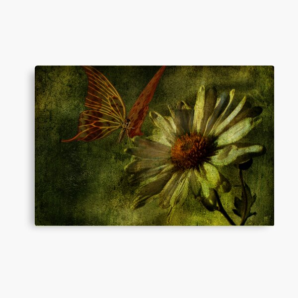 You're Beautiful Canvas Print
