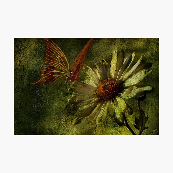 You're Beautiful Photographic Print