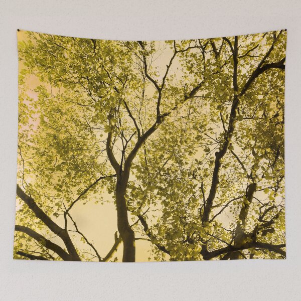 Item preview, Beech Tree In Spring designed and sold by SexyEyes69.