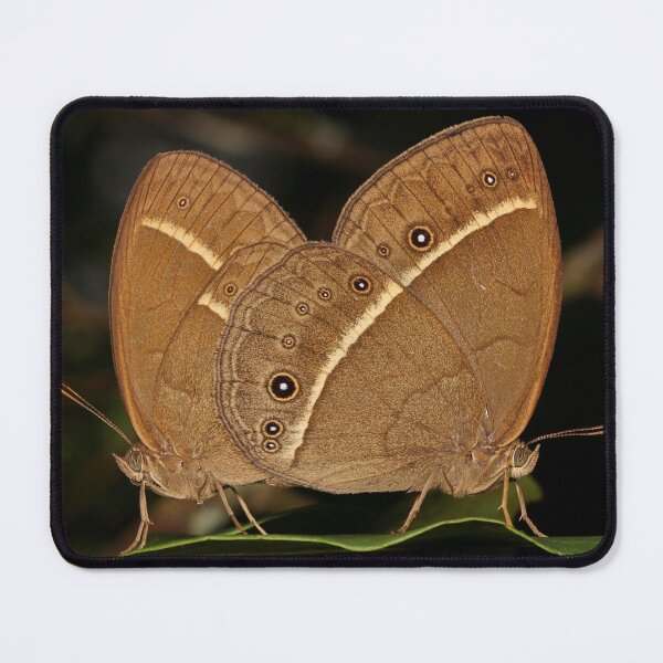 Item preview, Bushbrown Butterflies  designed and sold by itchydogimages.