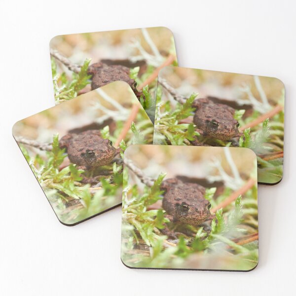 Item preview, Common toad vertical designed and sold by Jouko Lehto Photography.