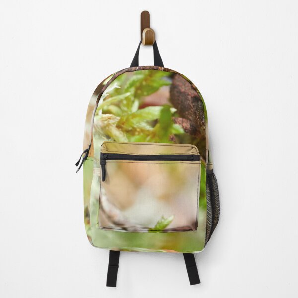 Item preview, Common toad vertical designed and sold by Jouko Lehto Photography.