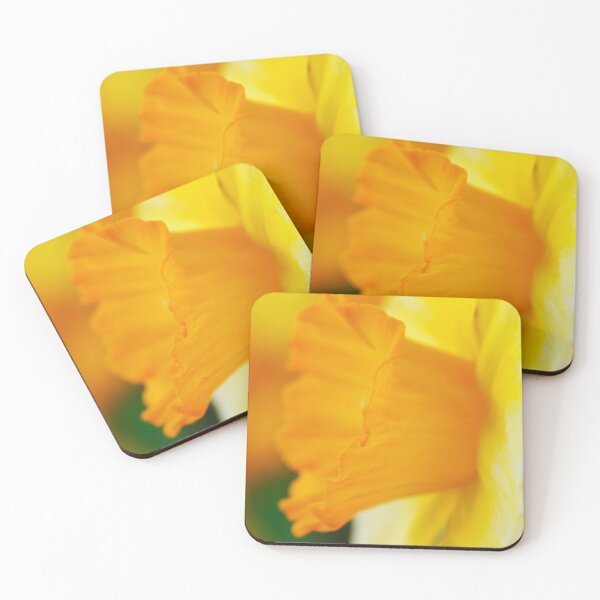 Item preview, Narcissus  'Derringer'  Daffodil  Div. 7  Jonquilla   designed and sold by Chris Burrows.