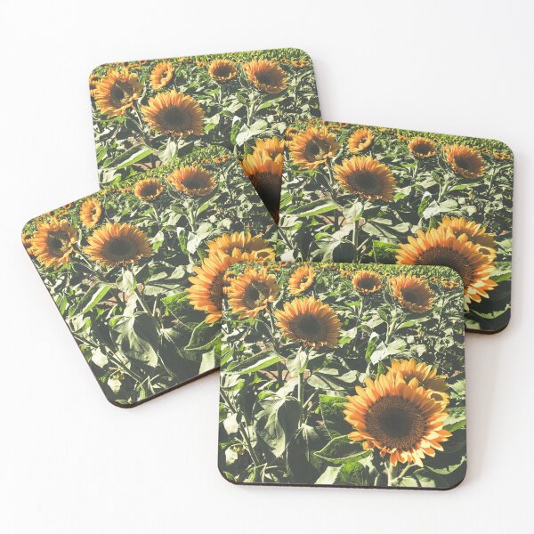 The Girls - Sun Flower Patch, Earth, Nature Products Coasters (Set of 4)