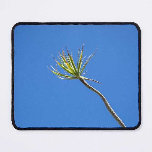 Item preview, Dracaena Against Blue Sky designed and sold by Thomas Bugarin.