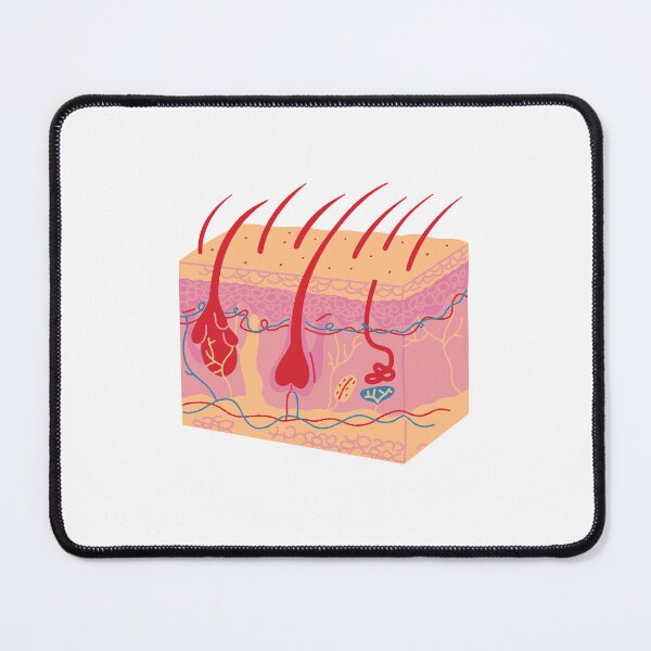 Item preview, Illustration of Human Skin Receptors poster | mdical poster | skin poster  designed and sold by KARTICK DUTTA.