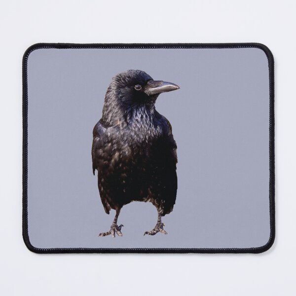 Item preview, Cute crow designed and sold by kavohh707.