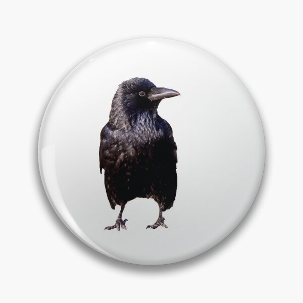 Item preview, Cute crow designed and sold by kavohh707.