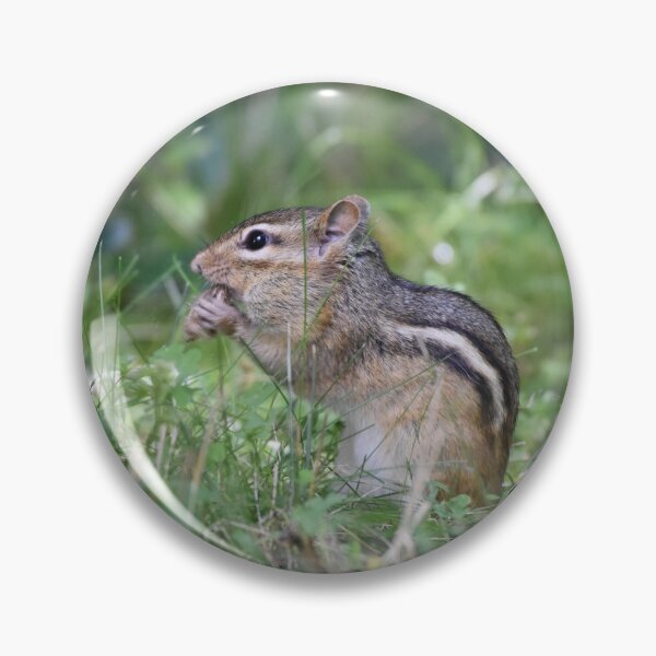 Item preview, Chipmunk designed and sold by Becky Laine.