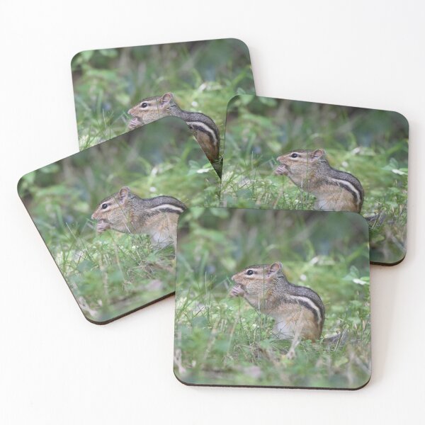 Item preview, Chipmunk designed and sold by Becky Laine.