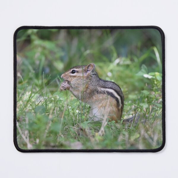 Item preview, Chipmunk designed and sold by Becky Laine.