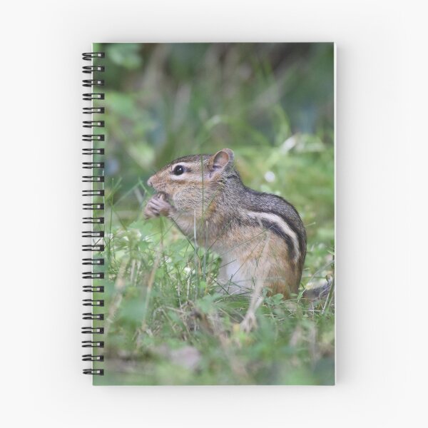 Item preview, Chipmunk designed and sold by Becky Laine.