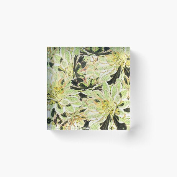 Item preview, Yellow Desert Echeveria Pattern designed and sold by oursunnycdays.