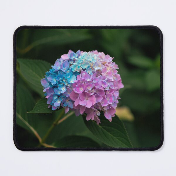 Item preview, Blue and Pink Flower designed and sold by zachmtz815.