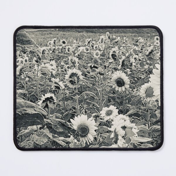 Item preview, Rhossili sunflowers designed and sold by Sallymally1.