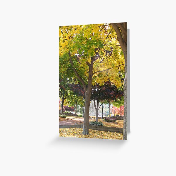 Fall Colors: Lake George, NY Greeting Card