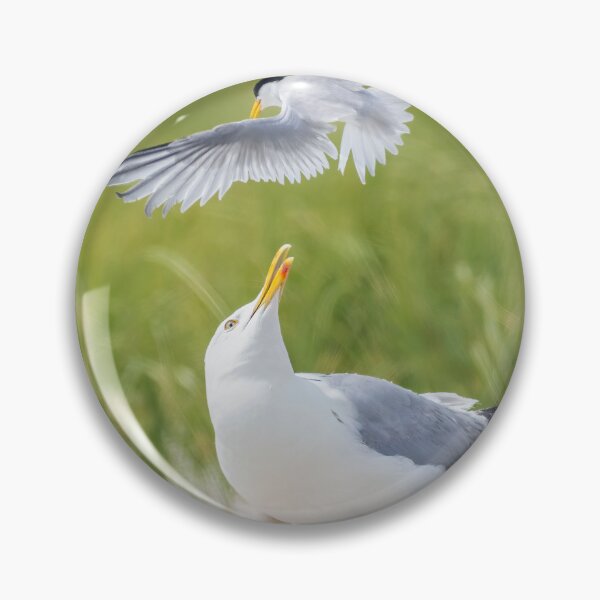 Item preview, Tern attack designed and sold by MIRCEA COSTINA.