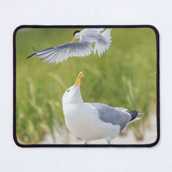 Item preview, Tern attack designed and sold by MIRCEA COSTINA.
