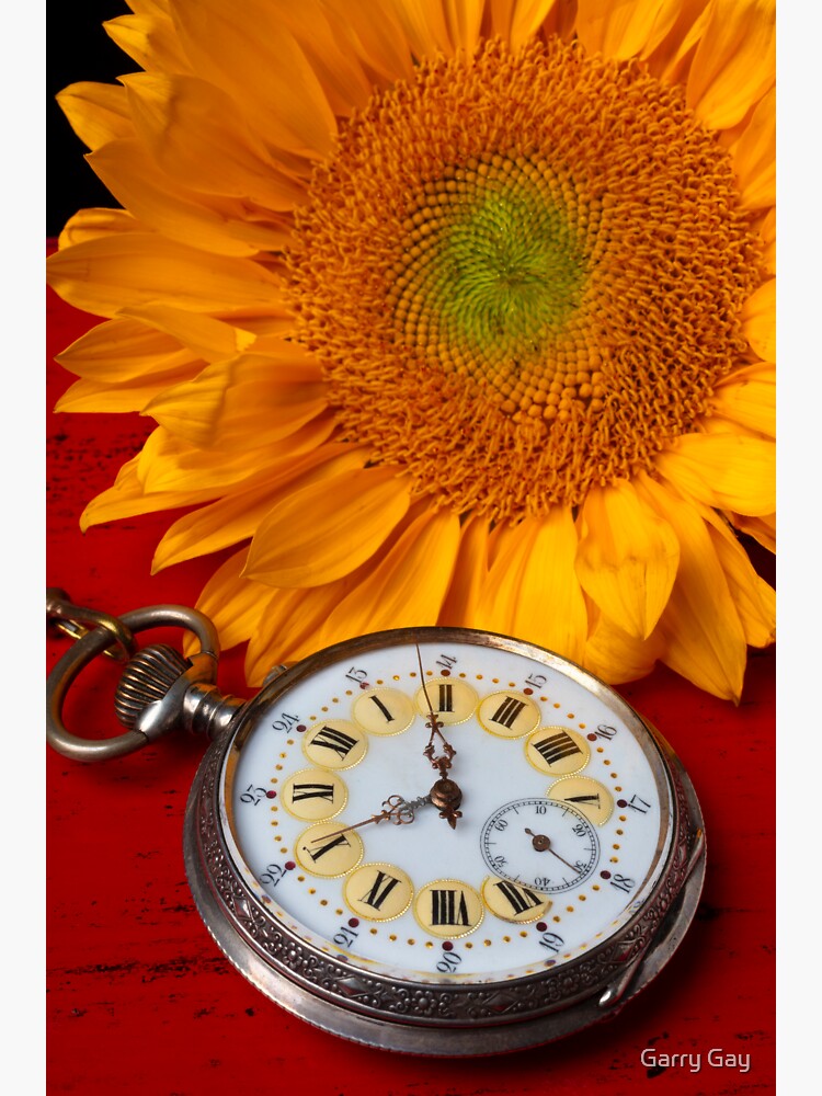 Kawaii Sunflower Plant in a Pot Watch | Zazzle