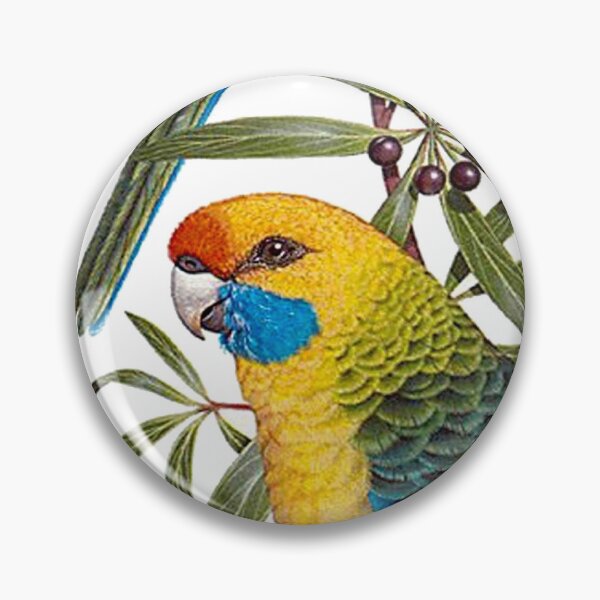 Item preview, Green Rosella : Australian Tropical Bird Print designed and sold by posterbobs.