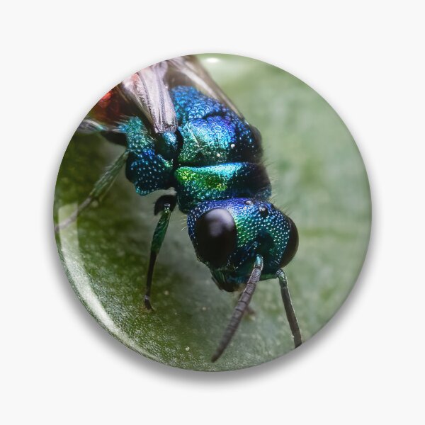 Item preview, Cuckoo wasp  designed and sold by MIRCEA COSTINA.