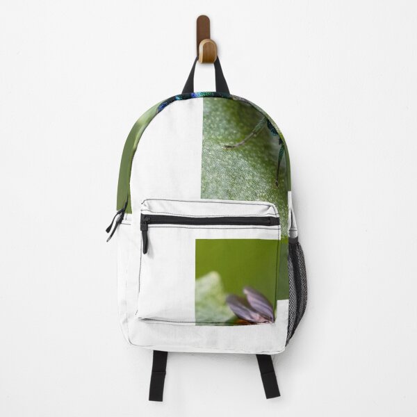 Item preview, Cuckoo wasp designed and sold by MIRCEA COSTINA.