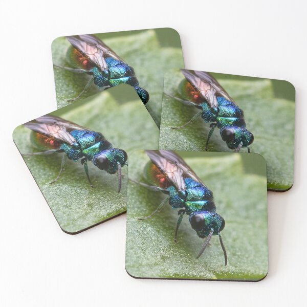 Item preview, Cuckoo wasp  designed and sold by MIRCEA COSTINA.