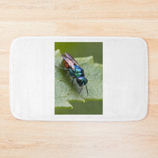 Item preview, Cuckoo wasp  designed and sold by MIRCEA COSTINA.