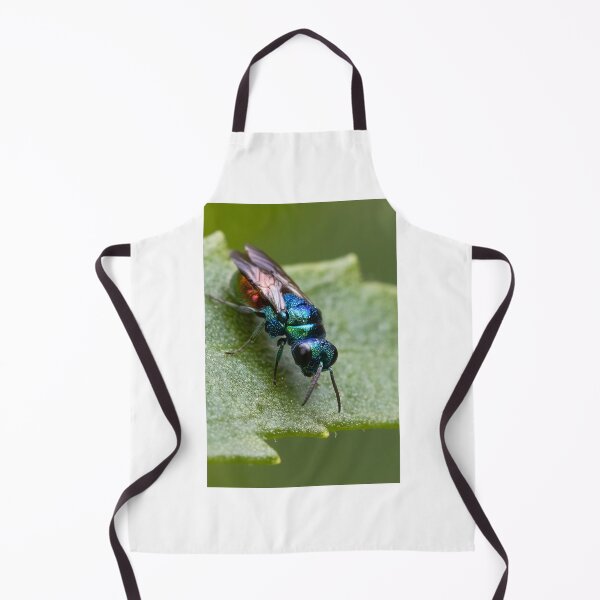 Item preview, Cuckoo wasp designed and sold by MIRCEA COSTINA.